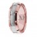 Rose-White-Rose